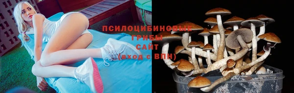 амфетамин Арсеньев